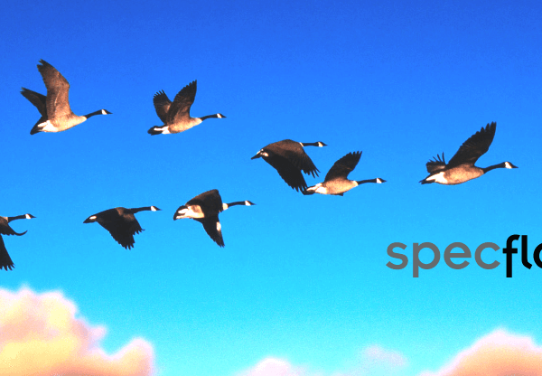 Migrating from SpecFlow to BDDfy